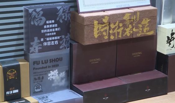 《就業(yè)吉林》第二期