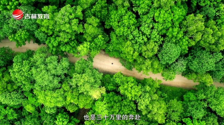 山路彎彎
